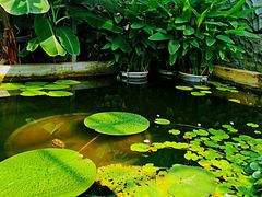 -国家植物园南园