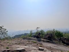 -白水寺森林公园