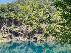 -大奇山国家森林公园