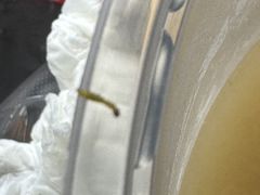 -项记面馆(明瓦廊店)