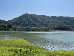 -风云岭森林公园