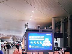 -南京禄口机场雅高铂尔曼大酒店