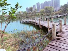 -中澳友谊花园