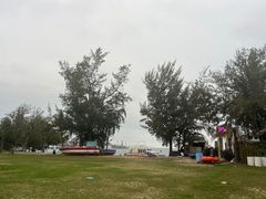 -玫瑰海岸文化旅游度假区