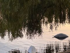 -海德公园