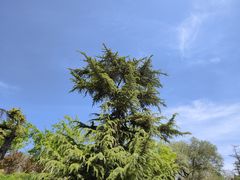 -莲花池公园