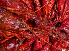 -周姑娘不等味·牛羊肉火锅·螃蟹罗氏虾·烤鱼烤串(高邮店)