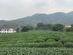 -中国茶叶博物馆(双峰馆区)
