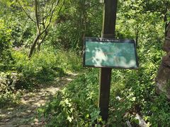 -东山风景区(洞庭东山)