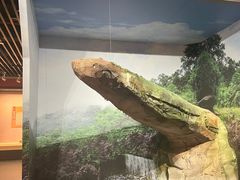 -广西壮族自治区博物馆