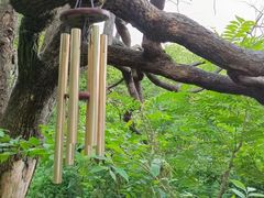 -北京密云天门山风景区