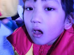 -世界之窗阿尔卑斯冰雪世界