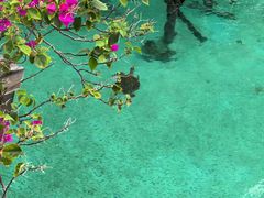 -卡帕莱度假村(西巴丹岛)