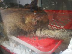 -安记印尼土产商店