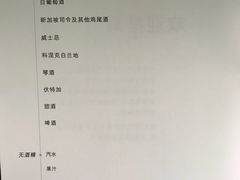 -新加坡航空公司(ION)