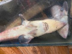 -农家铁锅炖(太阳沟店)