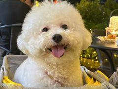 -街角 T·COFFEE 融合料理·BISTRO(车公庙店)