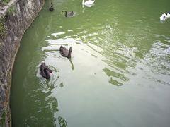 -黔灵山公园