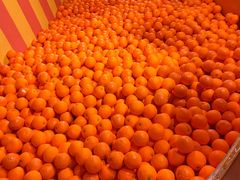 -不可思议减压馆·解压博物馆·摔碗发泄·团建定制