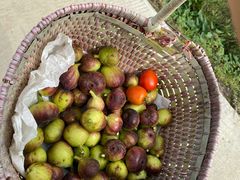 -新塘水果乐园(东洲大道店)