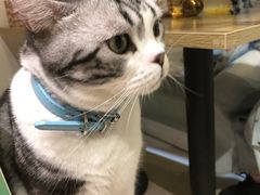 -小时光咖啡馆(开森度假森林店)