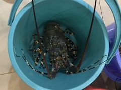 -顺峰渔港中国人的餐厅