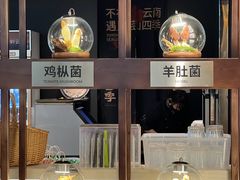 -芸山季·云南野生菌火锅(人民广场来福士店)