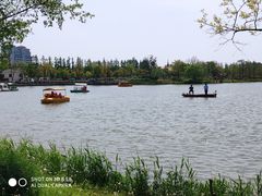 -上海长兴岛郊野公园