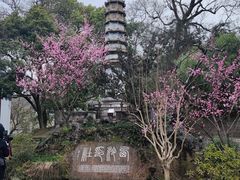 -西泠印社