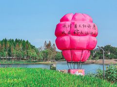 -杭州湾海上花田景区