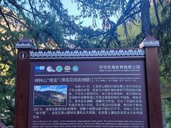 -可可托海景区