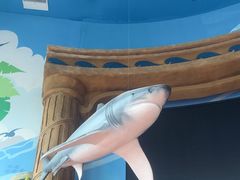 -秦皇岛新澳海底世界