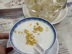 -周大娘牛乳(旧寨古村总店)