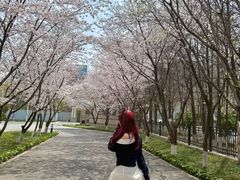 -南京明基医院
