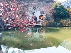 -艺圃