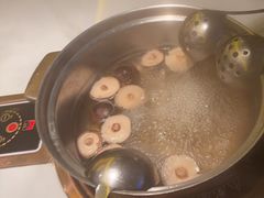 -润园四季椰子鸡火锅(卓越INTOWN店)