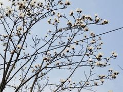 -桤木河湿地公园