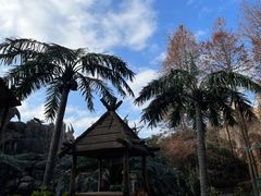 -中华恐龙园