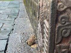 -沈阳市东陵公园