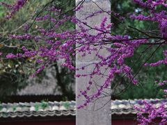 -永乐宫