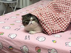 -美联众合24小时·皮肤科·外科·全科诊疗中心(华苑分院)