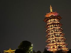 -洋湖国家湿地公园