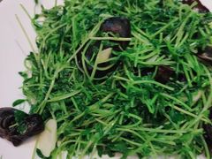 -赵记煎饼卷大葱(东岳店)