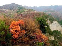 -山西壶关太行山大峡谷旅游景区