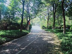 -尚贤河湿地