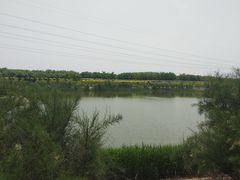 -大港湿地公园