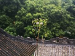 -飞霞风景名胜区