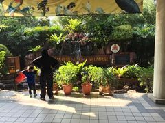 -吉隆坡雀鸟公园