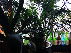 -松子料理(白家庄店)