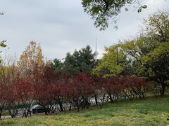 -玲珑塔公园